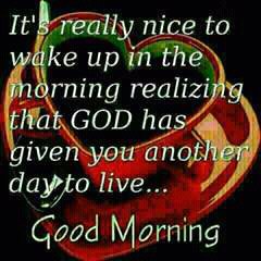 OlorunteleE's tweet photo. Time to appreciate God https://t.co/GjwTx9qWnd