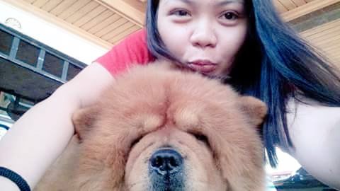 gladydawn21's tweet photo. New here. 😊
#chowchow
#bestbuddy https://t.co/ly4KAryw8l