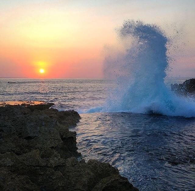 Dee qpro'A tweet media