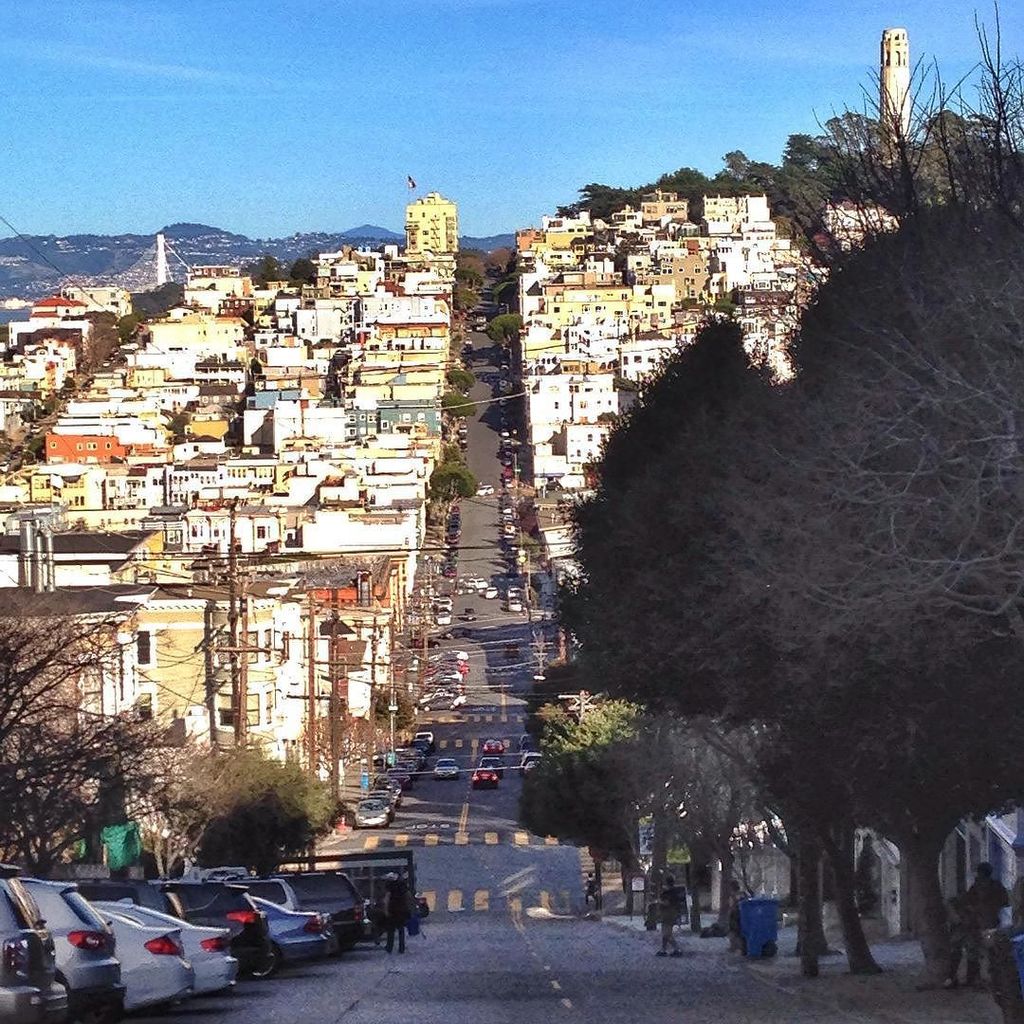 nottinbutaig's tweet photo. Rollercoaster ride 🎢 here in #sanfrancisco #steeproad #travel #lombardstreet by denbyso https://t.co/FdsujZOLsf