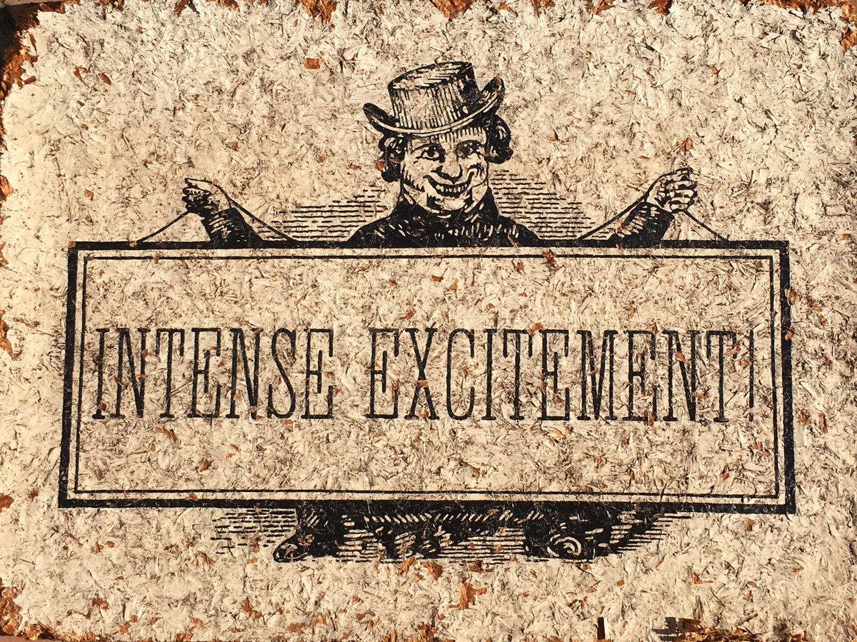 StoicEntertain's tweet image. We here at #stoic are intensely excited to be working w @tellofilms on #TheList by @pinkbunny399 #indiefilm #girls!