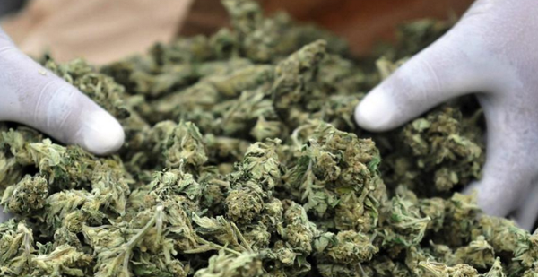 VICENews's tweet photo. "I know a lot of people who just smoked their first joint and were put in jail." https://t.co/uBmvTxYv4P https://t.co/w5VIoYeIsh