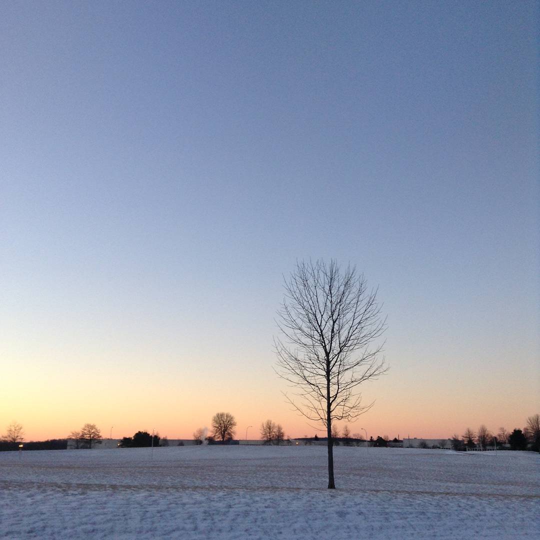 suny_sullivan's tweet photo. Good morning SUNY Sullivan! #SullivanCounty #SullivanProud #sunrise https://t.co/6095ePCGkC