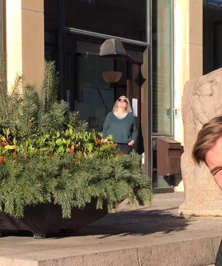 DagensAllt's tweet photo. Dagens chillare #sol https://t.co/dOJ1qOgc2n