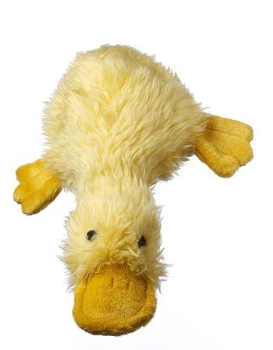 dogpointofview's tweet photo. MultiPet Duckworth Duck 13" https://t.co/XJlfWZ217x #dogspointofview https://t.co/fkxEwV7J5X