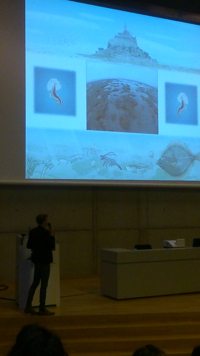 AVafeiadou's tweet photo. Getting trapped and the Lanice conchilega food web presented by @badsmet #Marbiol #vmsd2016 at VIVES Brugge https://t.co/LriS8UmTtm