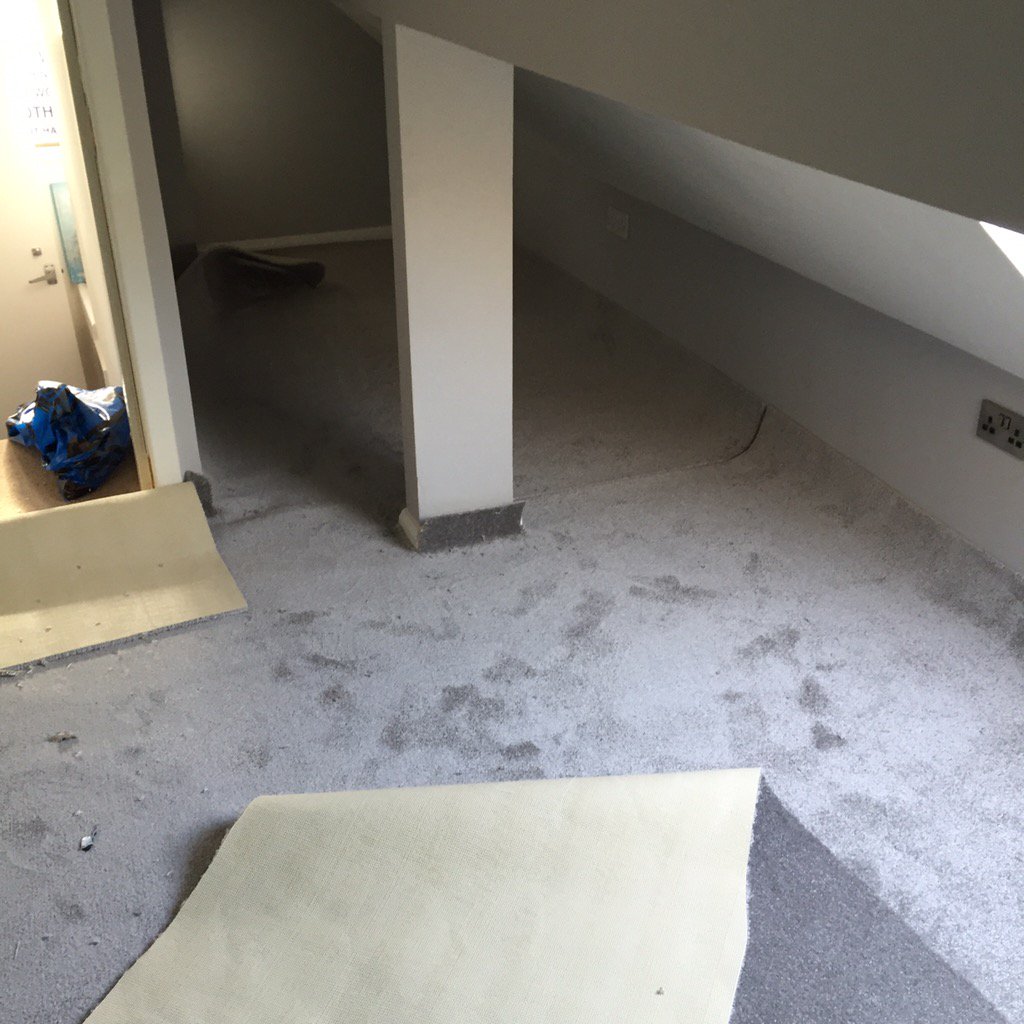 MagnaKitchens's tweet photo. Today's job is in #conwy #luxury #silver #saxony #carpet #fitted #flooring #northwales https://t.co/Q8jZaB9atO