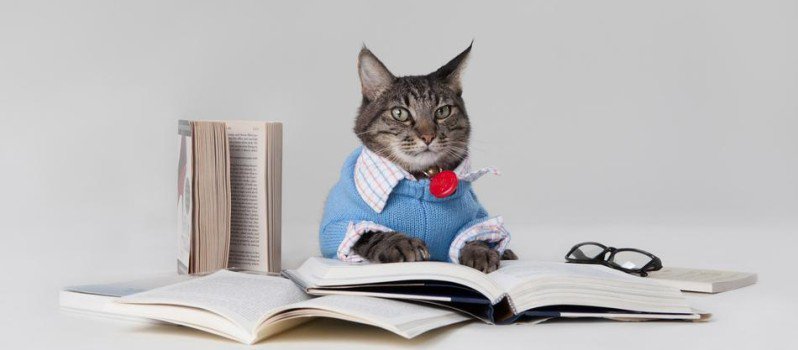 AnimalsReading's tweet image. 