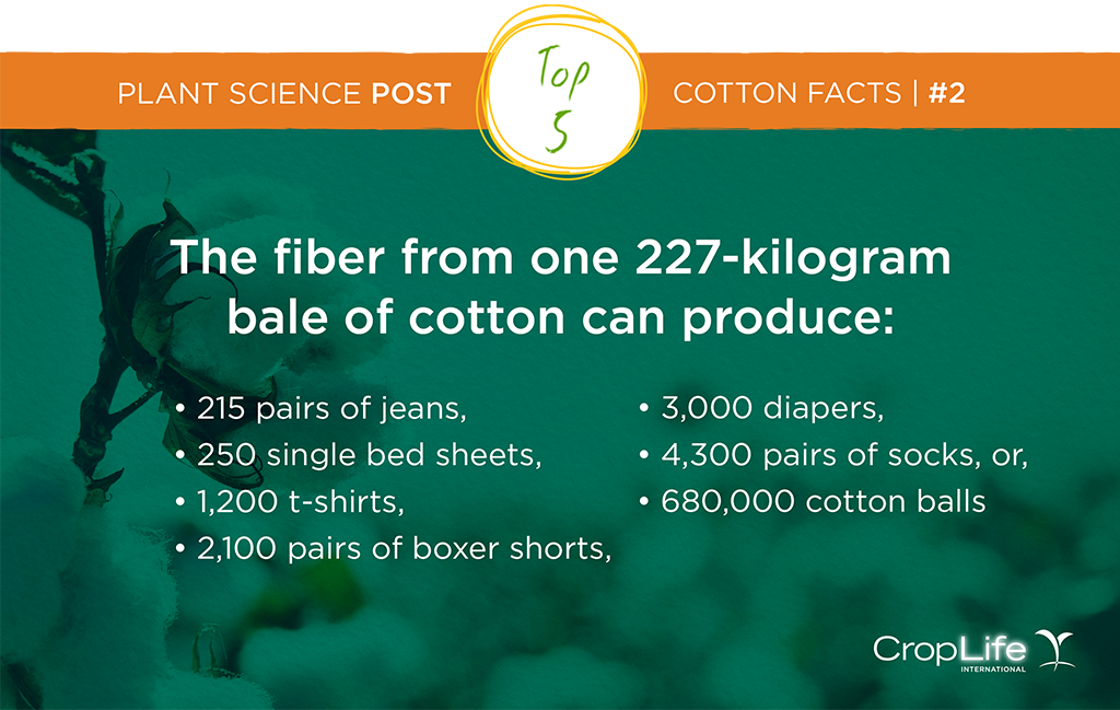 CropLifeIntl's tweet photo. One 227kg bale of cotton can make 4,300 pairs of socks! #AgStats #PlantScienceTextiles https://t.co/LeMNLqUVmh