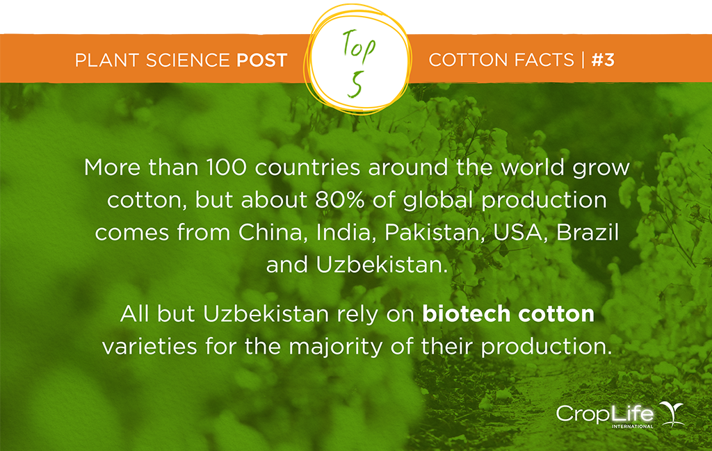 CropLifeIntl's tweet photo. The world’s 5 leading cotton producing nations rely on biotechnology for their production.  #PlantScienceTextiles https://t.co/r344eGUo8e