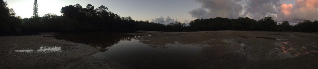 Andyholt tweet media