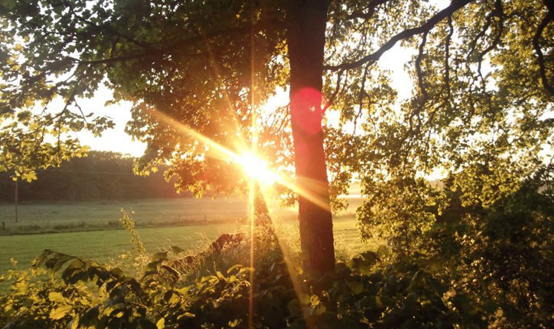 bk_attunda's tweet image. Vi har startat en stiftelse i Anders Swärds namn där pengarna går oavkortat till familjen. brandkaren-attunda.se/insamling