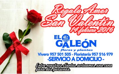 huertaelgaleon's tweet photo. San Valentin se acerca y aun no has hecho tu encargo? Pues no lo dejes mas. Y ahora Rt y participa en el dia de hoy https://t.co/s8d7j6B8Mj