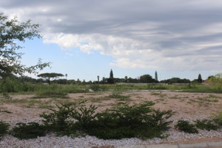 NewEraNewspaper's tweet photo. Science university mooted for Tsumeb - https://t.co/DrlvbzOAil #ScienceUniversity https://t.co/sdrcWRlM6v