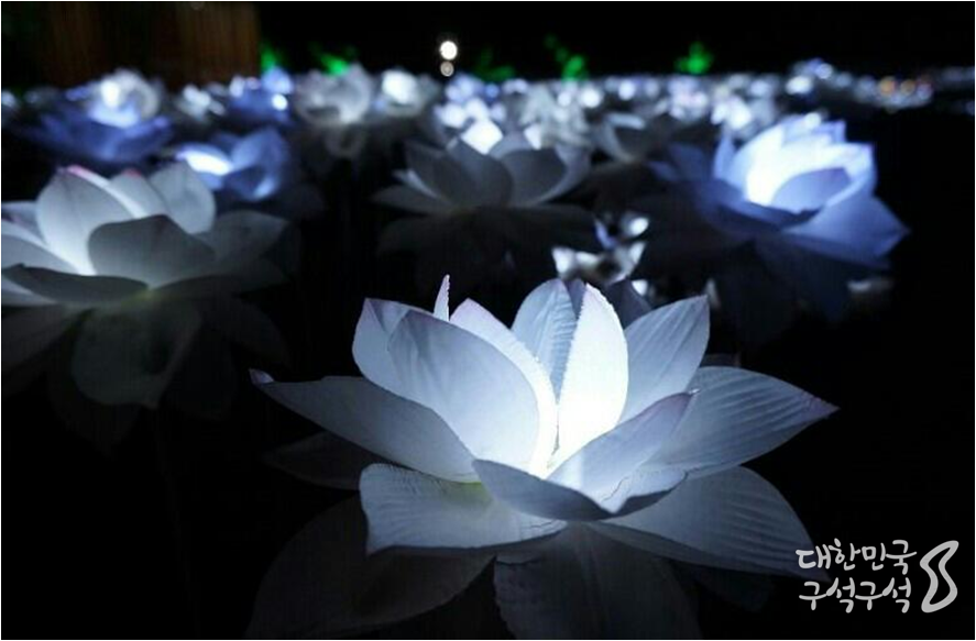 #제주 의 새로운 야간 관광 명소 #선운정사 의 #빛마루축제 입니다. 정성스럽게 만들어진 등이 밤을 아름답게 비춥니다. 동절기에는 9시까지 점등한다고 하니 참고하세용~ <사진-트래블리더 7기 제보련 기자>