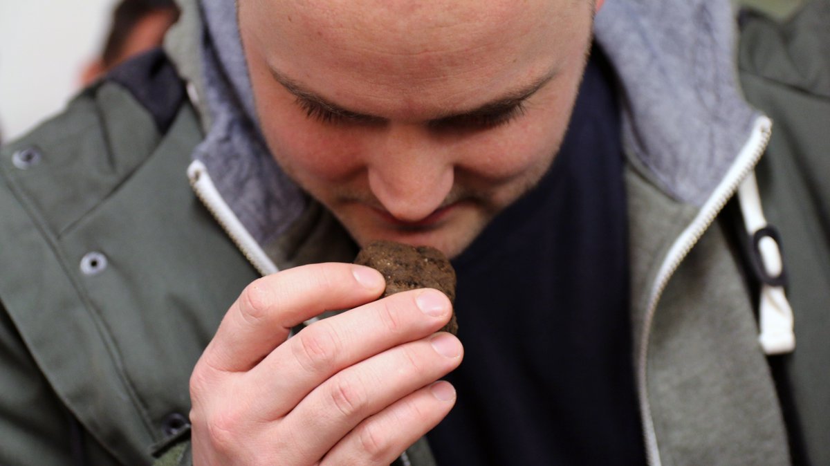 Food Reporter tweet media