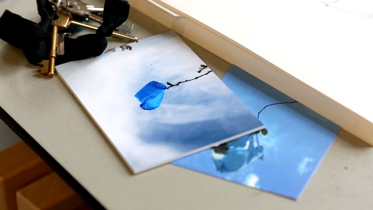 EveryPicFilms's tweet image. It's all about the Turquoise Bag in a Tree @turquoisebag