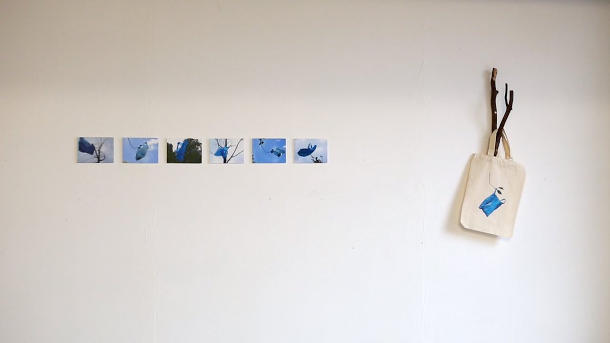 EveryPicFilms's tweet image. It's all about the Turquoise Bag in a Tree @turquoisebag