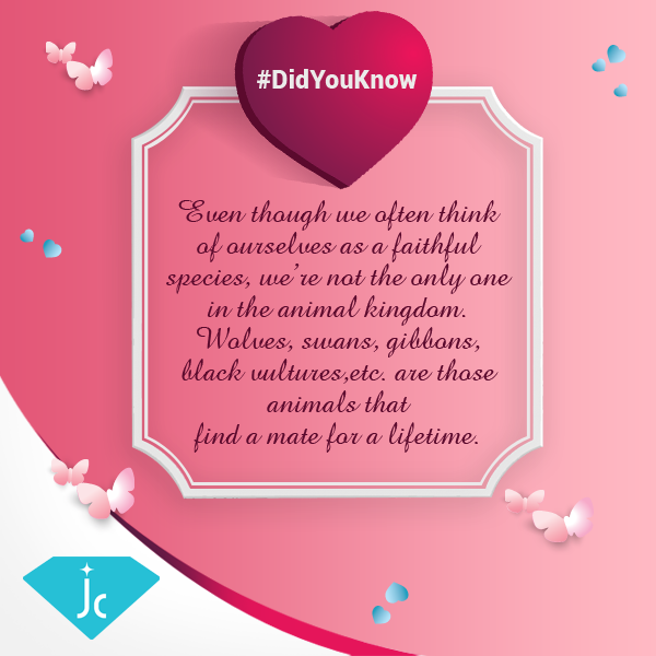 jcjewelcorner's tweet photo. Here, we come with another cuddling fact about love!  #SayItDifferently #DidYouKnow https://t.co/nUFMvp71d0