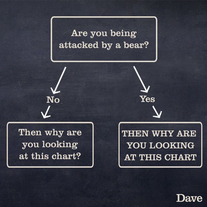 davechannel's tweet photo. How to survive a bear attack: https://t.co/tqpQDKjm0X
