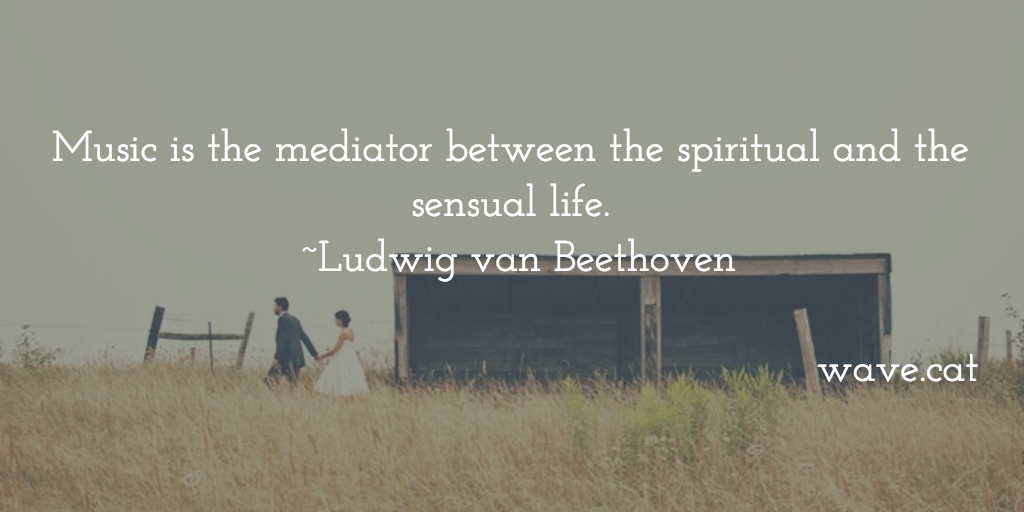wavecatmusic's tweet photo. Music is the mediator between the spiritual and the sensual life. 
~Ludwig van Beethoven https://t.co/ebDUXM8Fmx