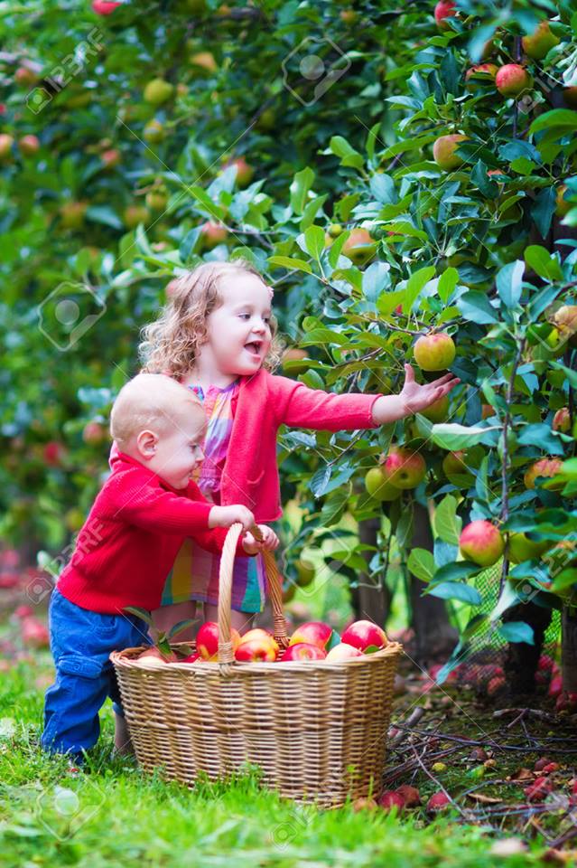 @aliabrahim078 

جميل جدا اختياركم سلمت اناملك