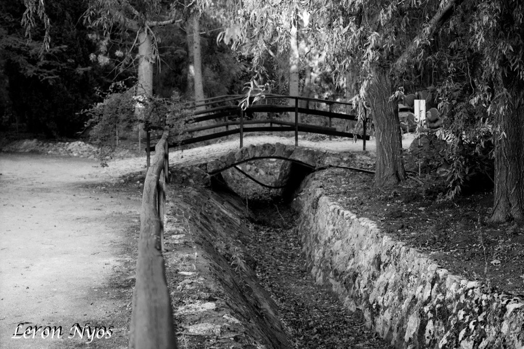 FdCPhoto's tweet photo. The bridge.. #photography #photo #blackandwhitephotography #TheBridge #park #Wood #fotografie #fdcphoto https://t.co/xpoXDrWcaB