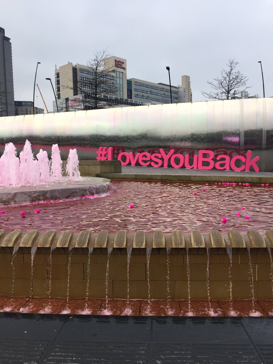 Great effort for Valentine's Day @Plusnet loving the pink ducks 💕 #lovesyouback #love