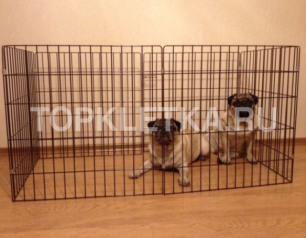 Выставка собак ЕВРАЗИЯ 2016 / Dog show EURASIA 2016 topkletka.ru/index.php?rout…
