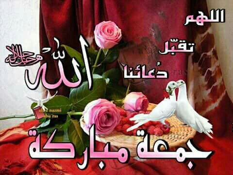 ما اروع يوم الجمعه 
عندنا يحيطك من يحبك بخير الدعاء
احبكم الرحمن وأنار قلوبكم القران 
و وهبهم الله جبالا من الغفران