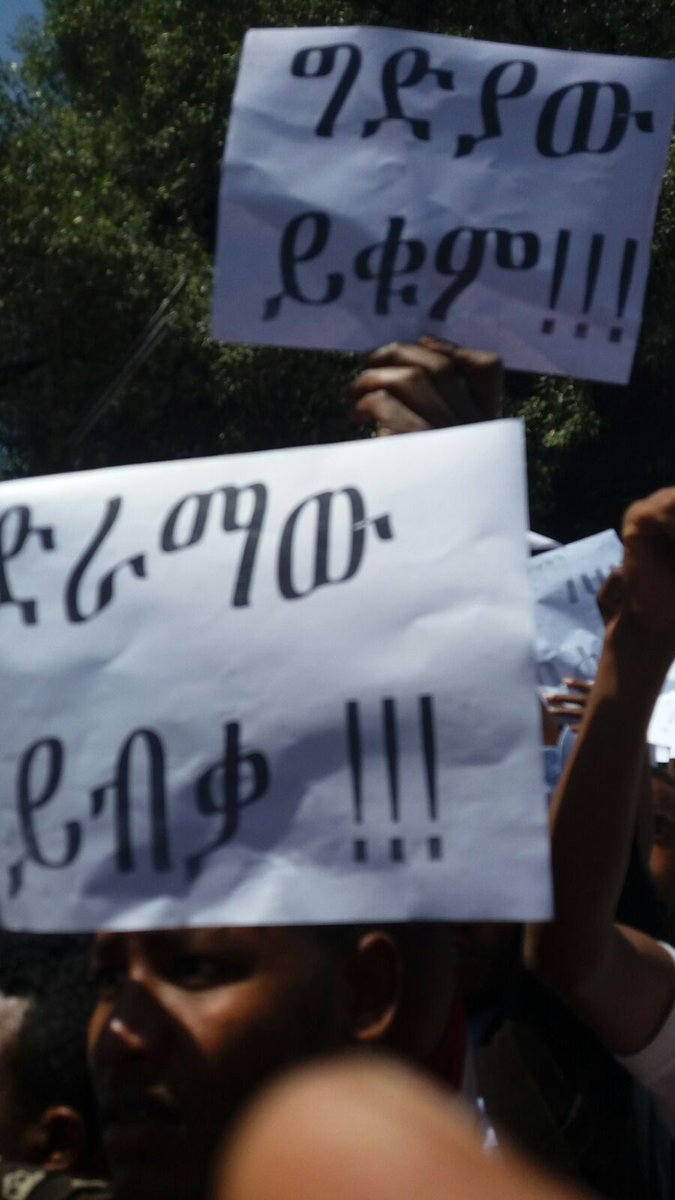 DimtsachinYisem's tweet photo. #EthioMuslims #EthioMuslimPeacefulStruggle #JumaDemonstration #AnwarMosque
ዛሬ የካቲት 4/2008 በአንዋር መስጂድ የተደረገ ተቃውሞ 5 https://t.co/j78Gtsa3cT