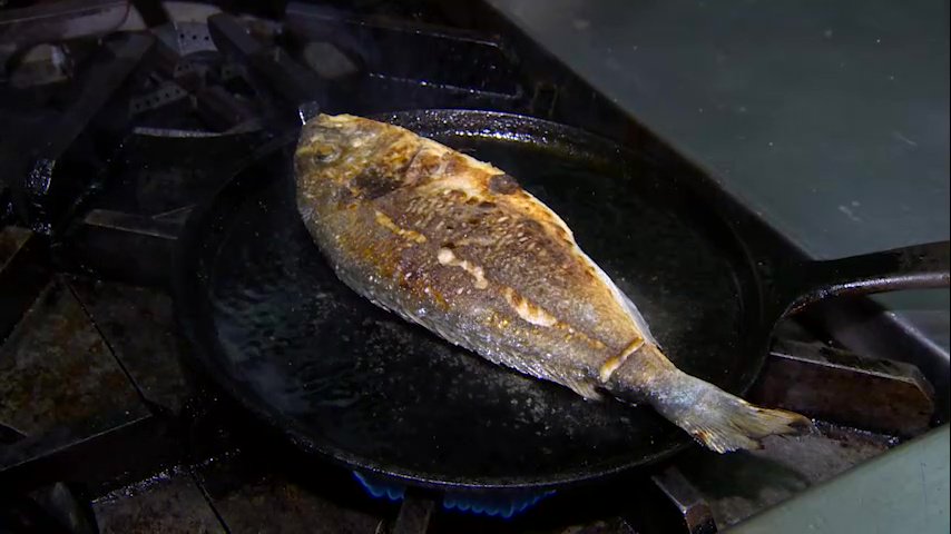One regular just can't get enough of the sea bream <a href="/SELECTboston/">SELECT oyster bar</a> #WhatsCooking #Chronicle5 7:30 #WCVB