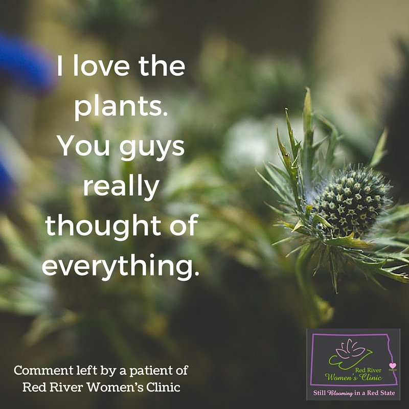 RRWomensclinic's tweet image. .@Plants4Patients makes such a difference to our patients! #ProCompassion