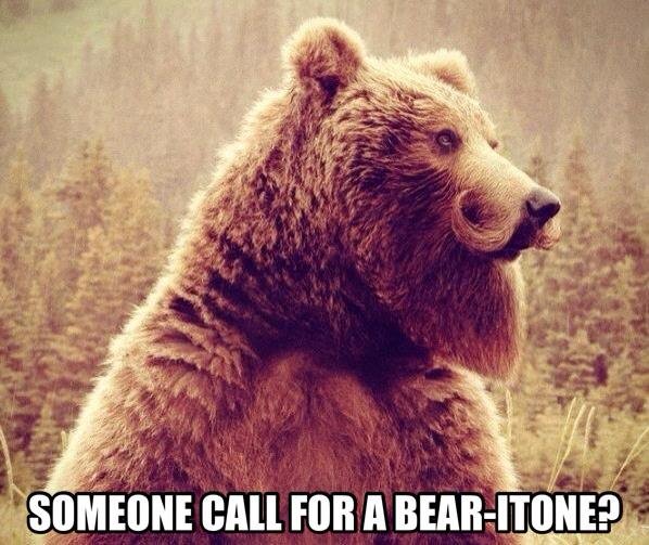 The August Beard tweet media