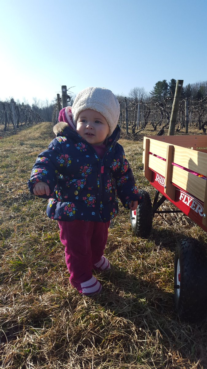 Vineyard View tweet media