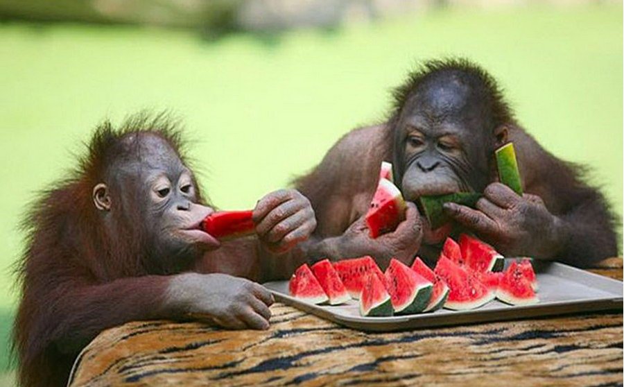 Eat like there’s no one watching blog.hungr.co/2016/02/12/eat…