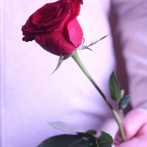 AhsS18's tweet photo. يسسعد لي مسشاااكم… 🍁🌝 https://t.co/jt6Ds40Jrp