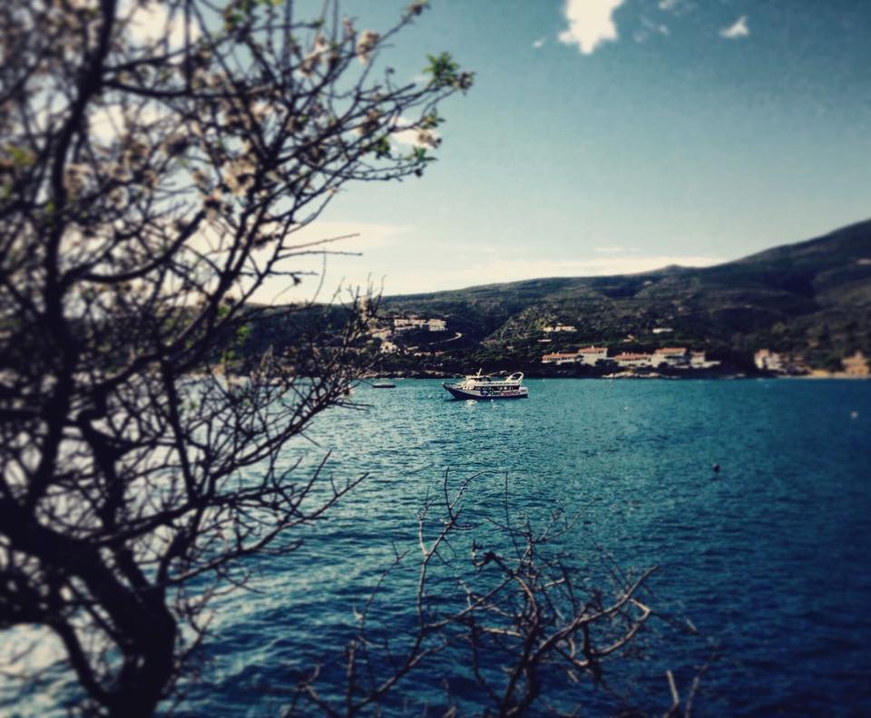DonPanchoRoses's tweet photo. Caçats navegant en una de les badies més maques del món, a l'excursió d'avui! #visitRoses #visitcadaques #costabrava https://t.co/pikWY8Qovr