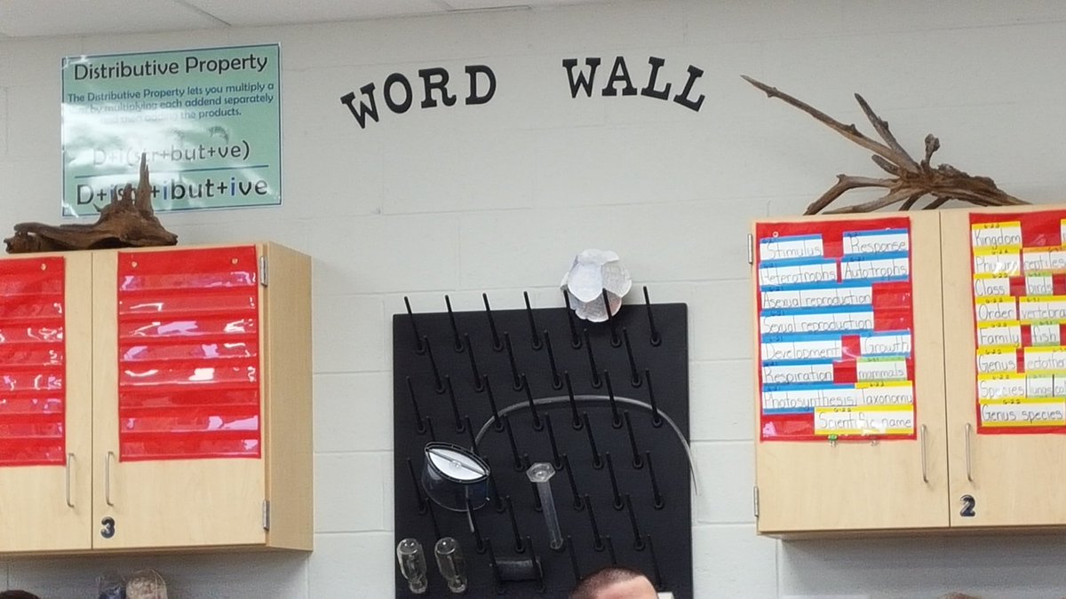 garnerlbcsd's tweet photo. Cane Bay Middle science teacher, Bahn's word walls offer visual repetition of learned vocab. #bcsdconference https://t.co/5Z3ZLy01uT