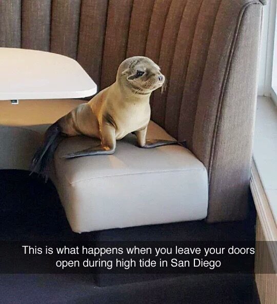 RForRelatable's tweet image. I know where I'm moving to