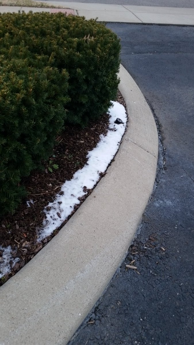 SocialReMorse's tweet photo. Wondering if this is enough snow to warrant another snow day for Tennessee kids? https://t.co/AG99TMirQZ