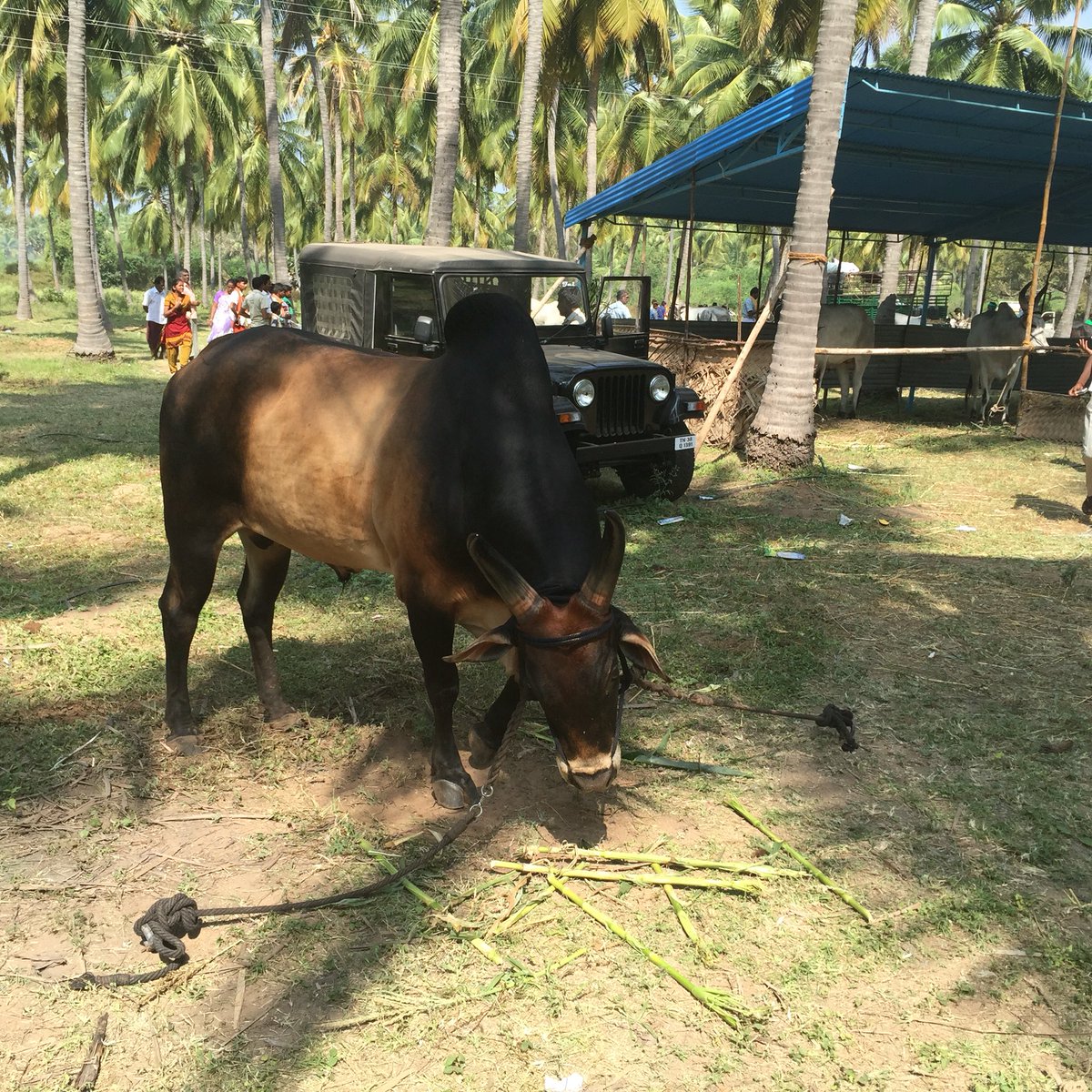 sivasankaran5's tweet image. 