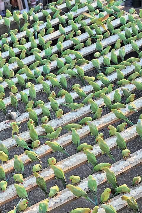 sivasankaran5's tweet image. 