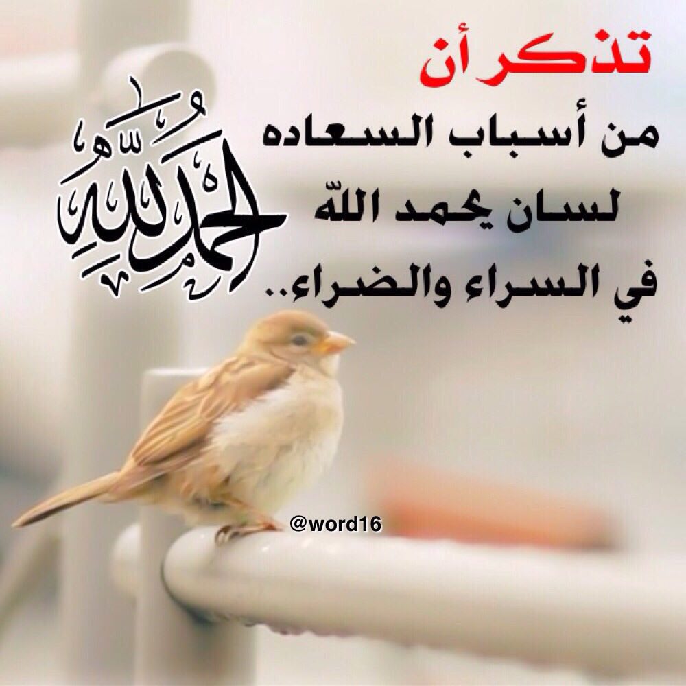 الُحُمٌدِلُلُُه ْعلُى كِلُ حُالُ