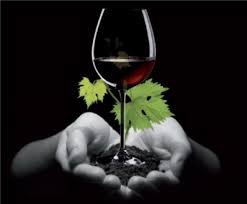 ortisansol's tweet photo. Ecoracimos, un concurso para la promoción del vino ecológico https://t.co/TRLy4iCJyi #enoturismo #vinosaludable https://t.co/lRjWysRA18