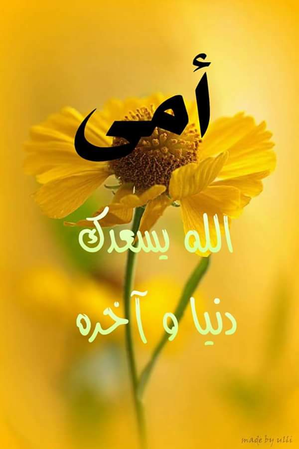 مساء الخير احبتي