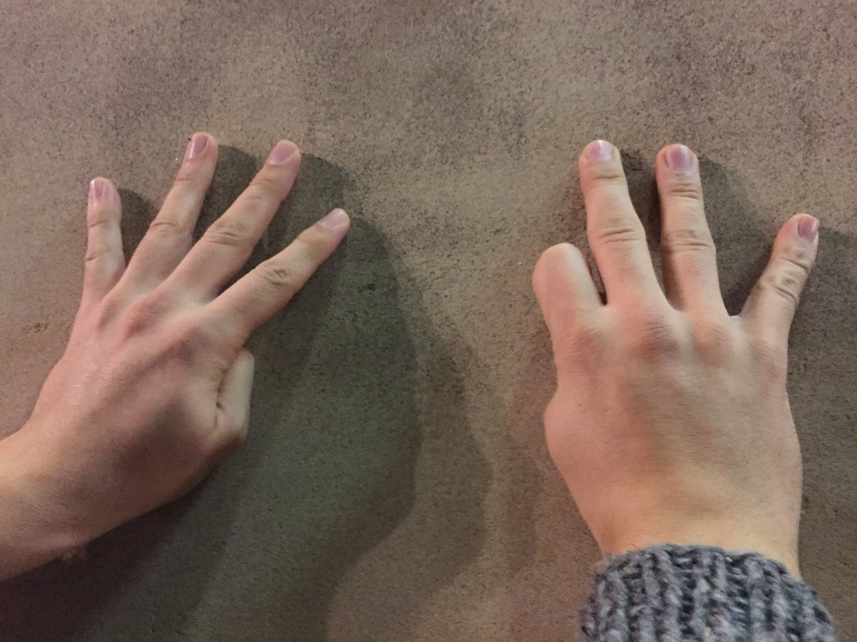 Fireseeds tweet media