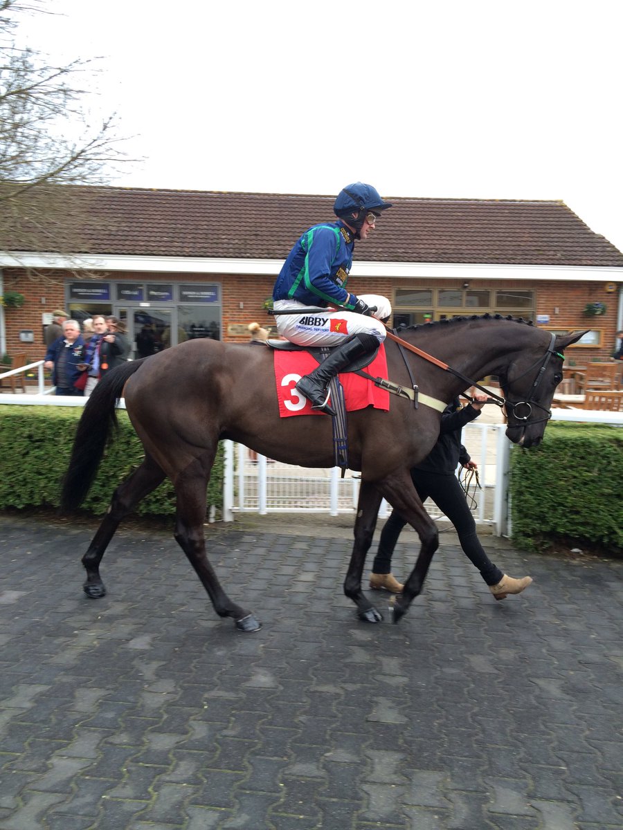 Winner!! Well done <a href="/benpauling1/">Ben Pauling Racing</a> <a href="/MaryVestey/">Mary Cookson</a> #superstar #ballyhenry