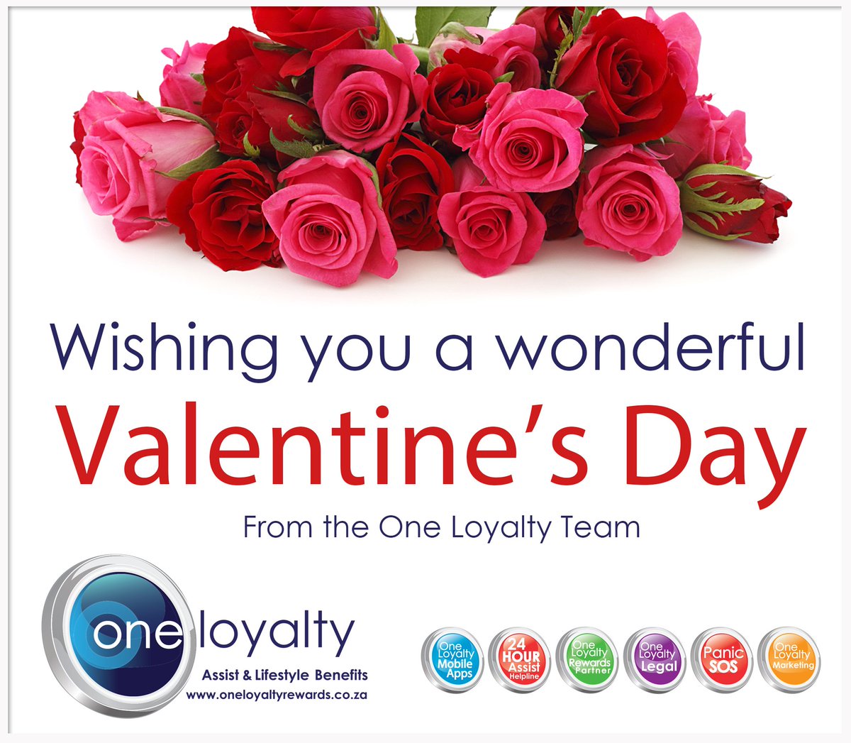 One_Loyalty's tweet photo. https://t.co/x4wZ2ztpfm