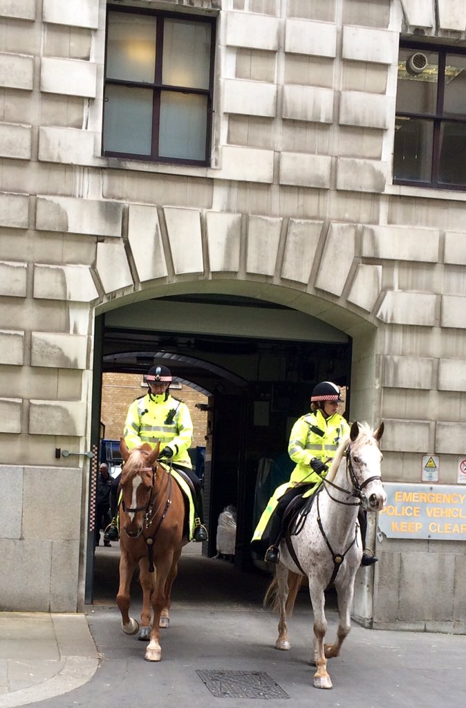 CityHorses's tweet photo. #CHIndiana Heading out on his first weekday City patrol. Wish him luck ๐ https://t.co/aUCK8hvnJQ